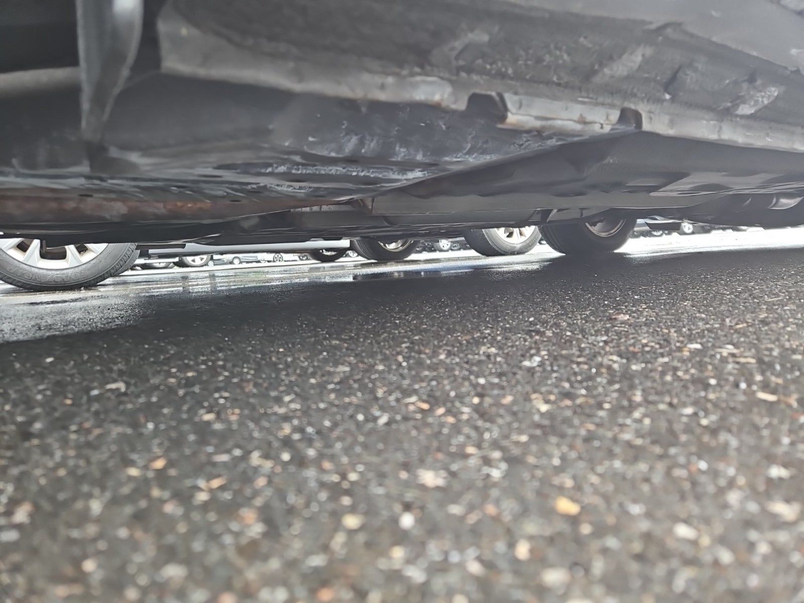 2010 Honda Accord LX-P FWD