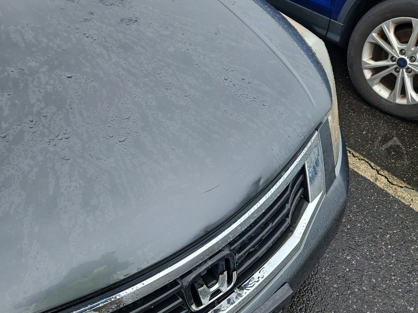 2010 Honda Accord LX-P FWD