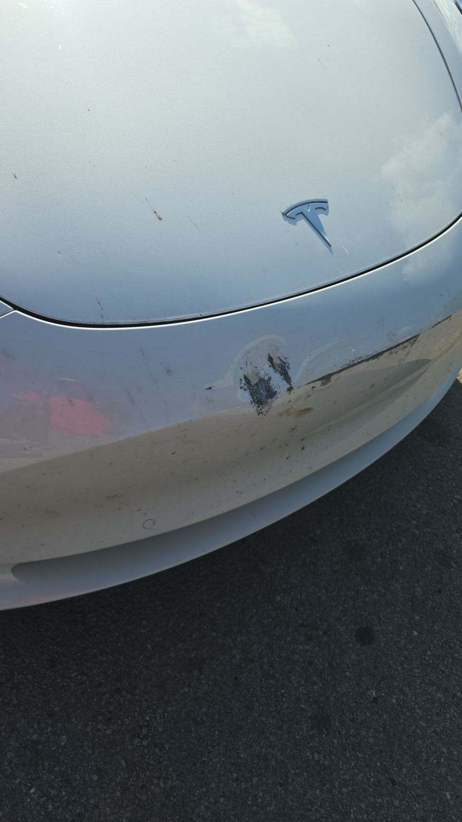 2021 Tesla Model 3 Standard Range Plus FWD