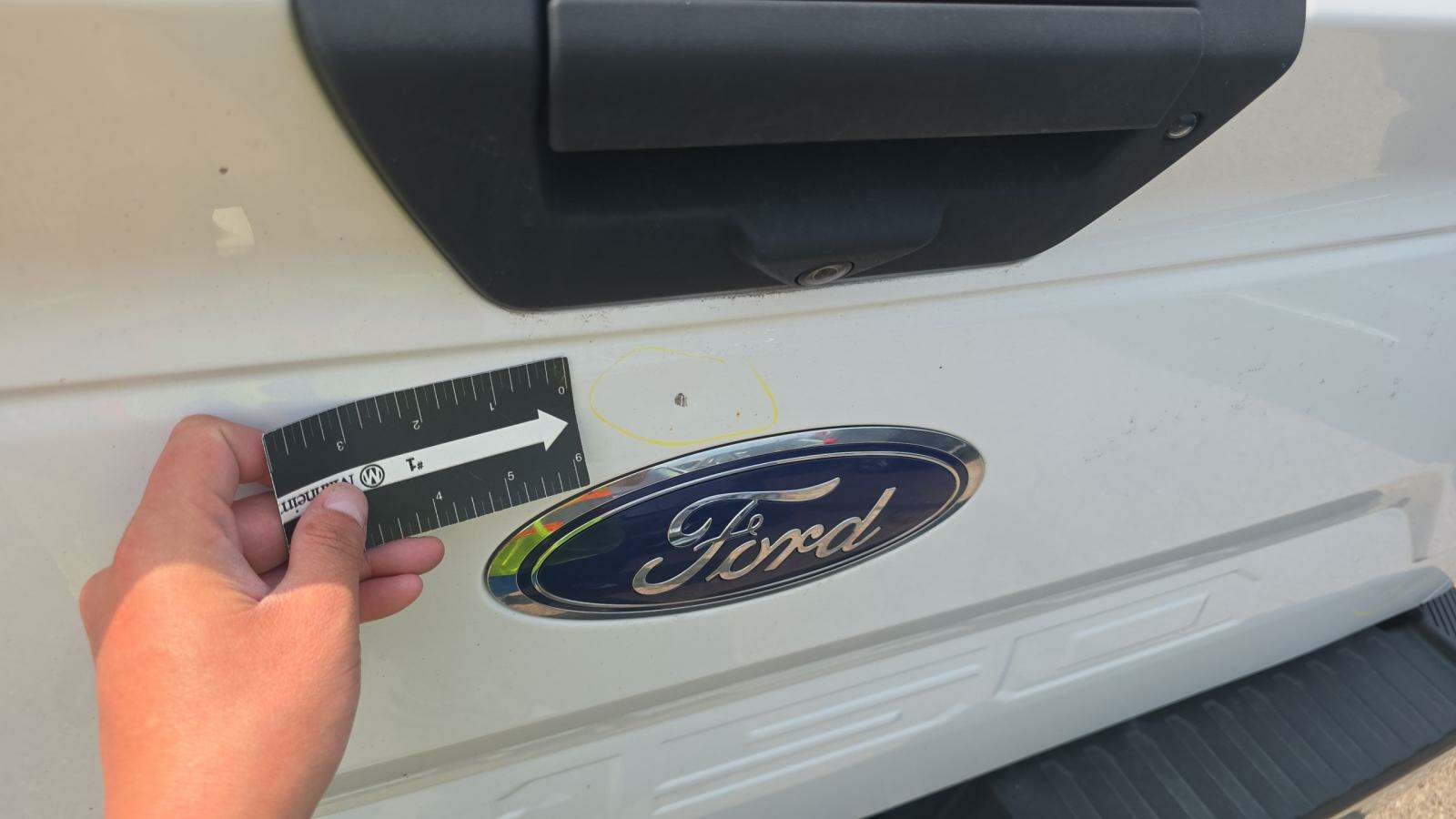 2019 Ford F-150 XLT AWD