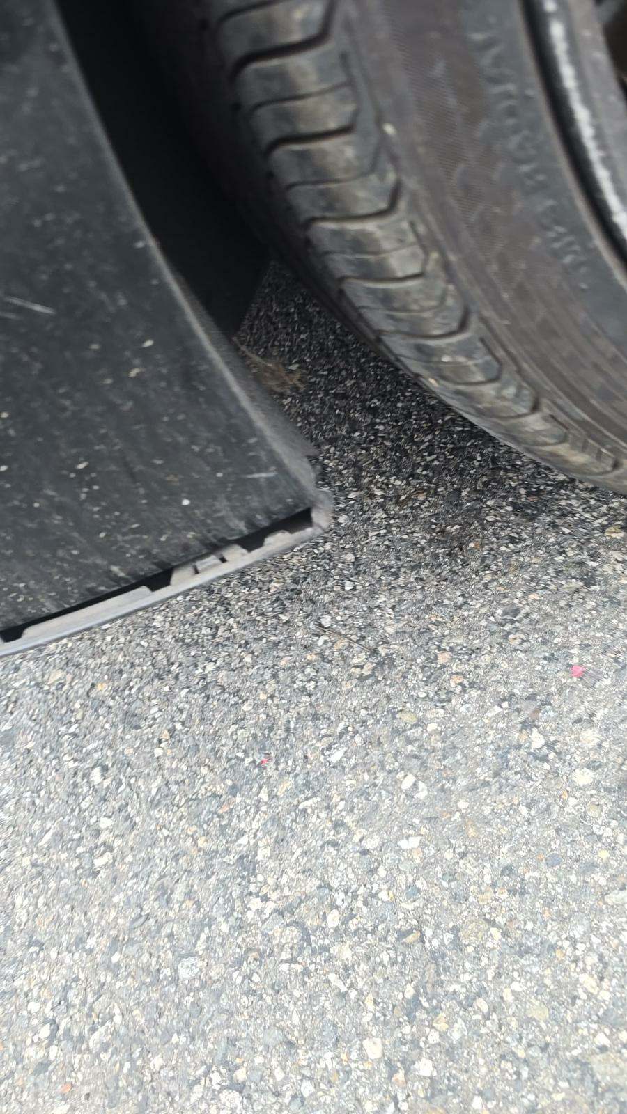 2019 BMW Z4 sDrive30i RWD