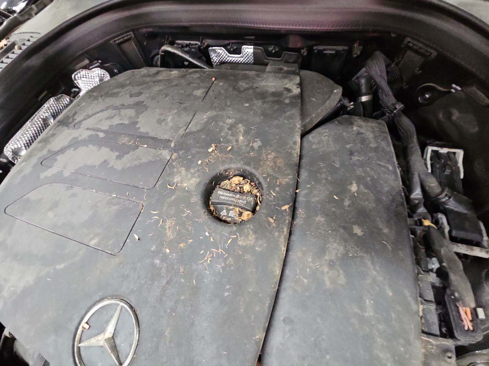 2022 Mercedes-Benz GLC GLC 300 RWD