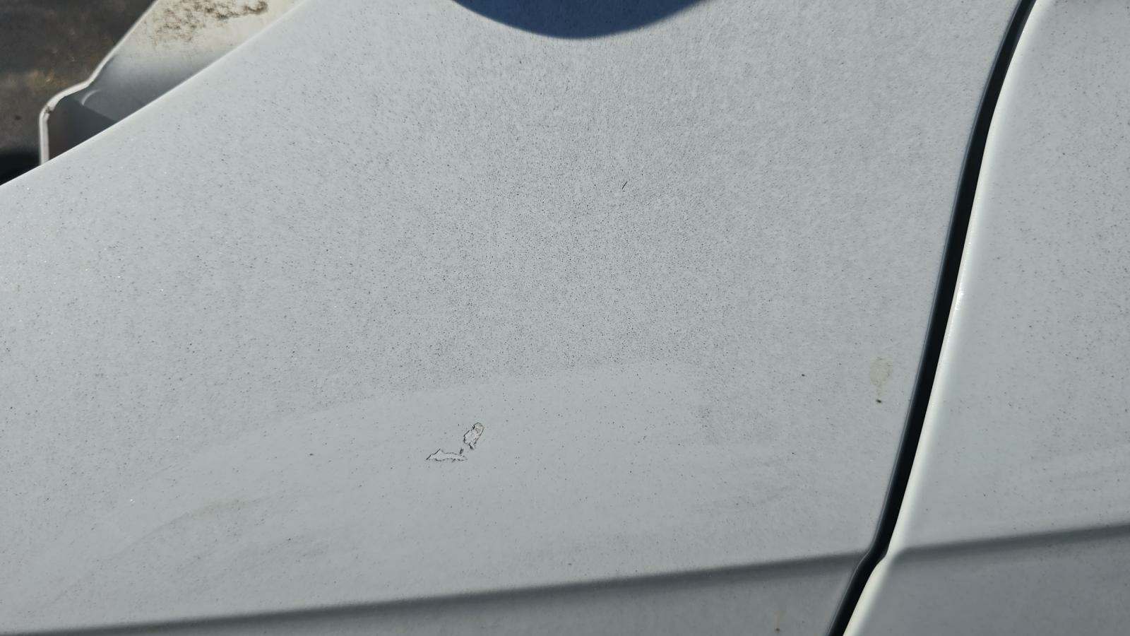 2014 Audi S4 Premium Plus AWD