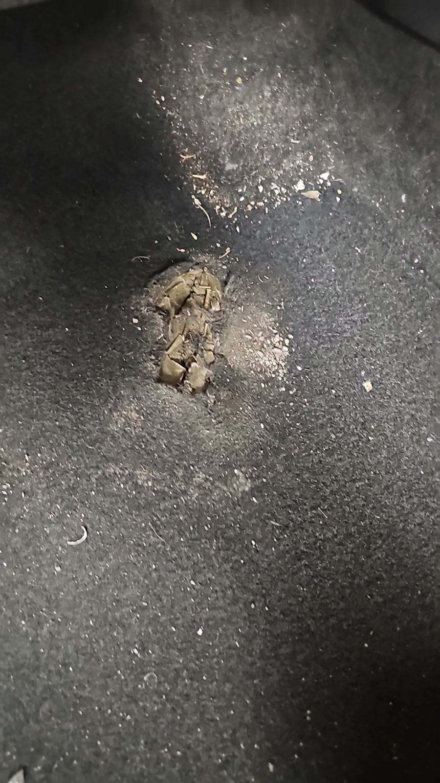 2016 Honda Accord Coupe EX FWD