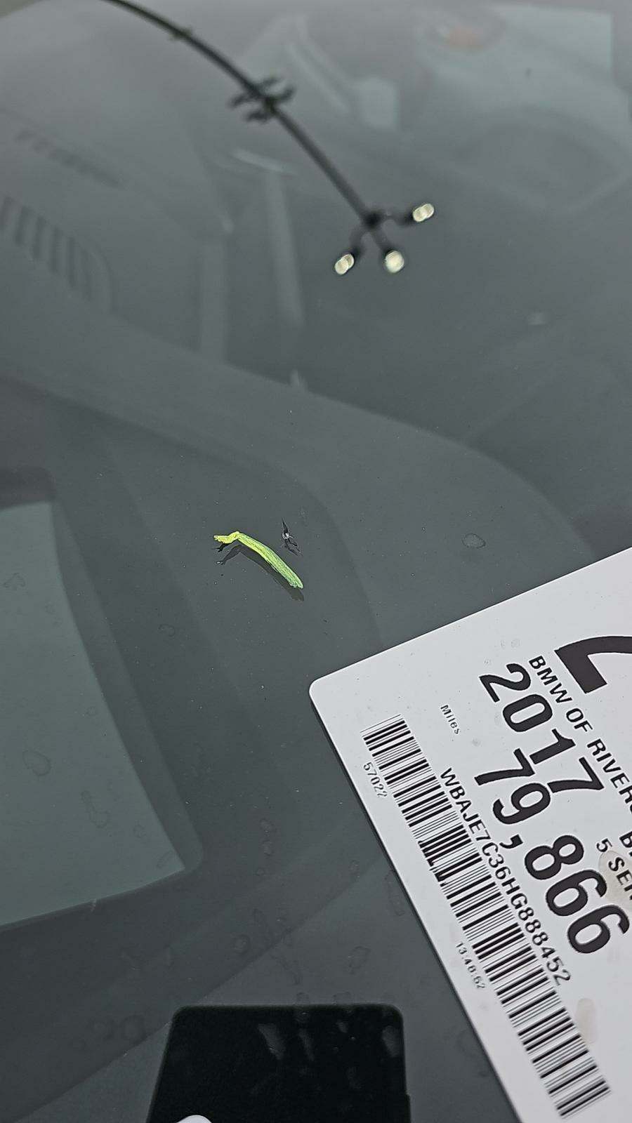 2017 BMW 5 Series 540i xDrive AWD