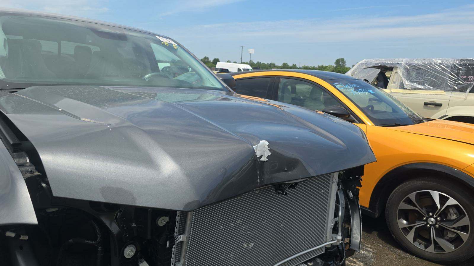 2025 Ford Ranger XLT RWD