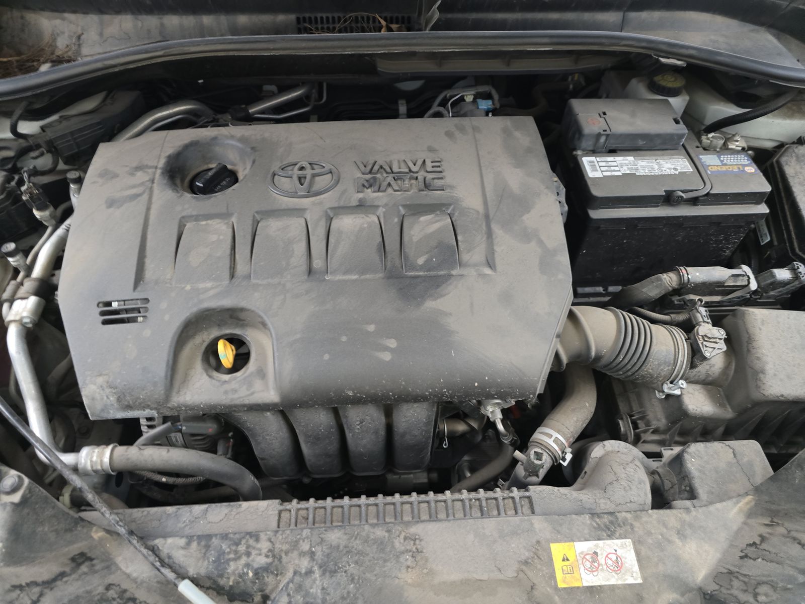 2019 Toyota C-HR XLE FWD