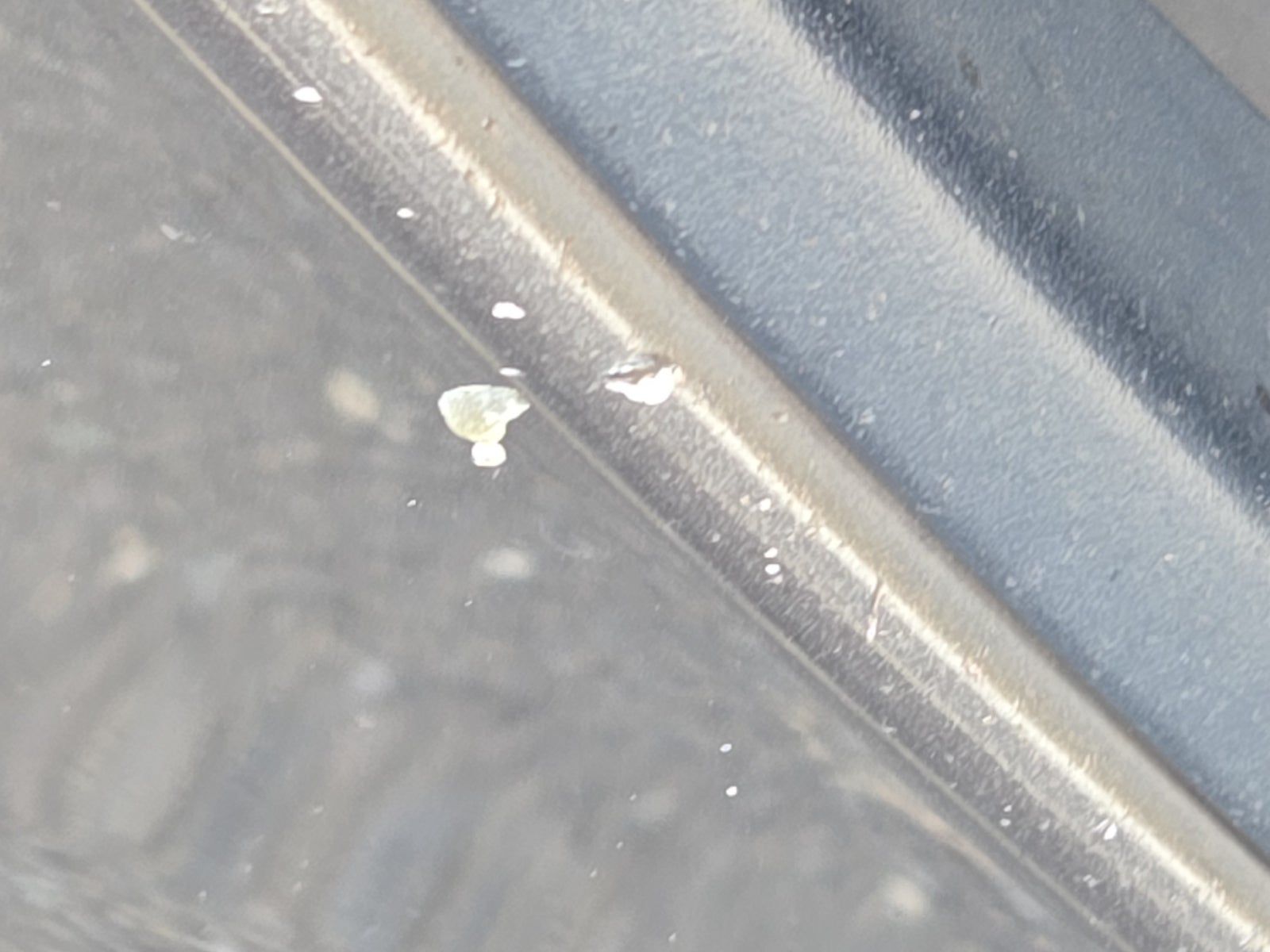 2015 Porsche Cayman Base RWD