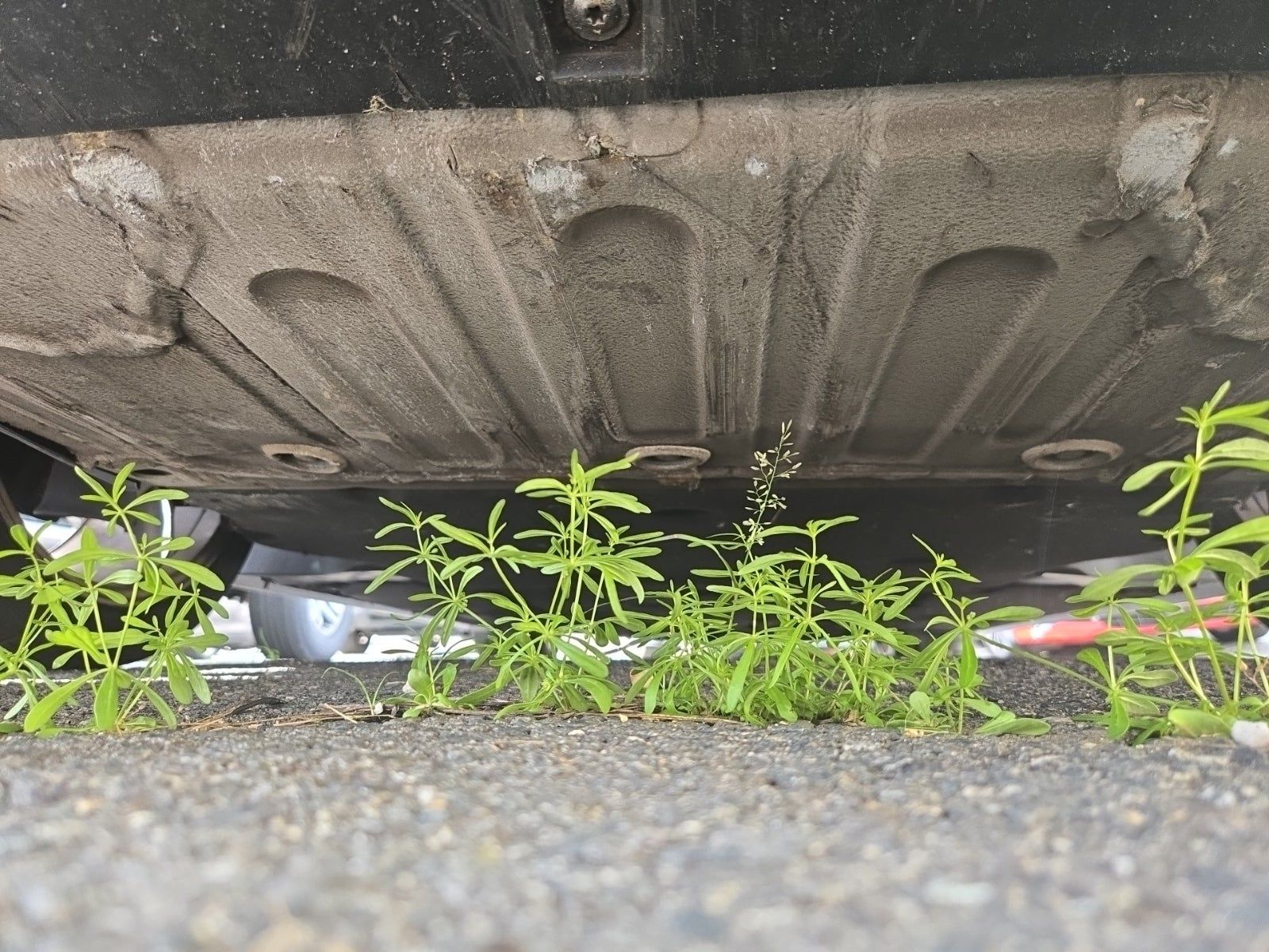 2015 Porsche Cayman Base RWD