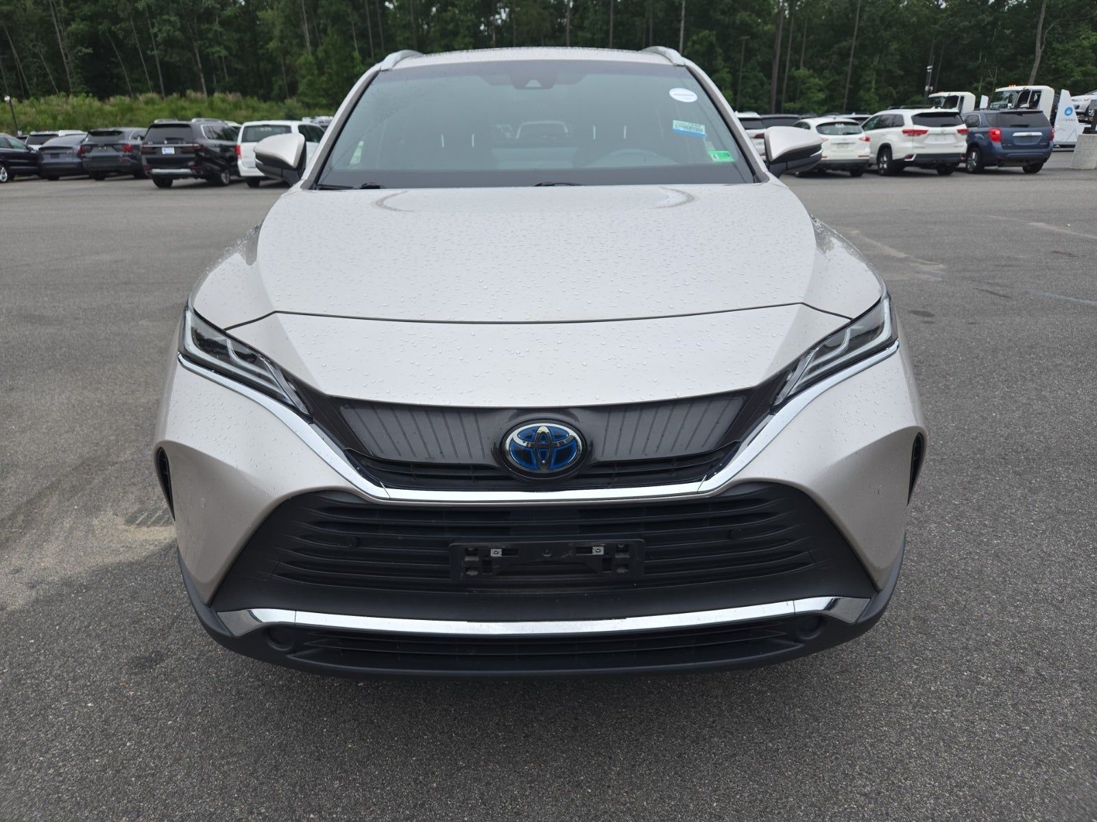 2021 Toyota Venza XLE AWD