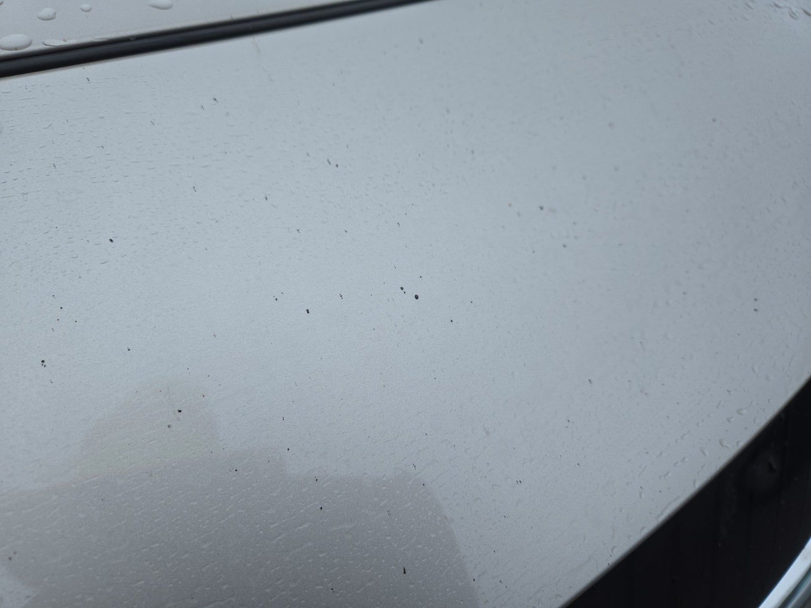 2021 Toyota Venza XLE AWD