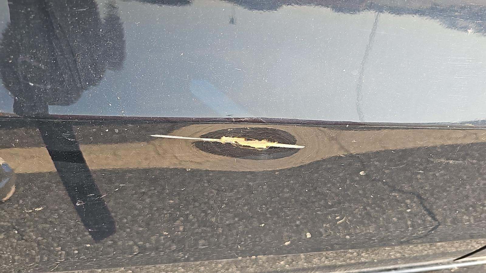 2020 Honda Odyssey Elite FWD