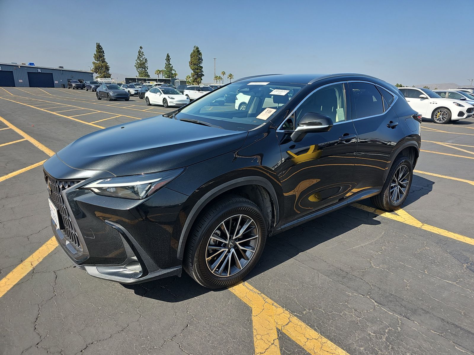 2022 Lexus NX NX 250 AWD
