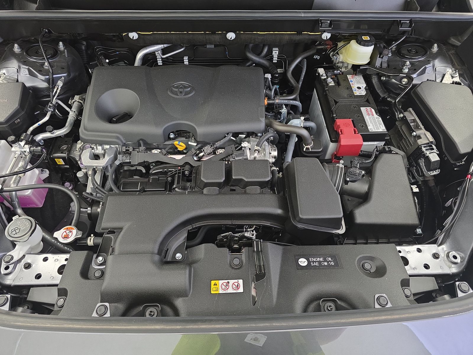 2025 Toyota RAV4 LE AWD