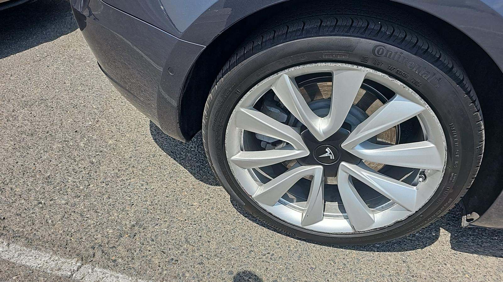 2019 Tesla Model 3 Standard Range Plus RWD