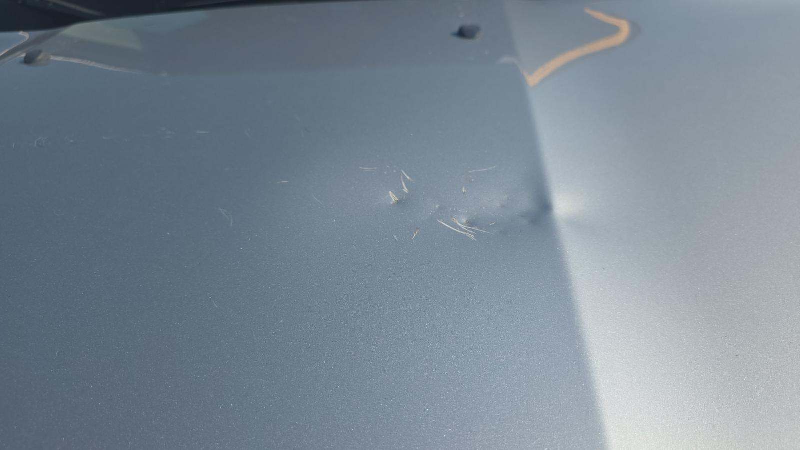 2019 Jeep Renegade Sport AWD