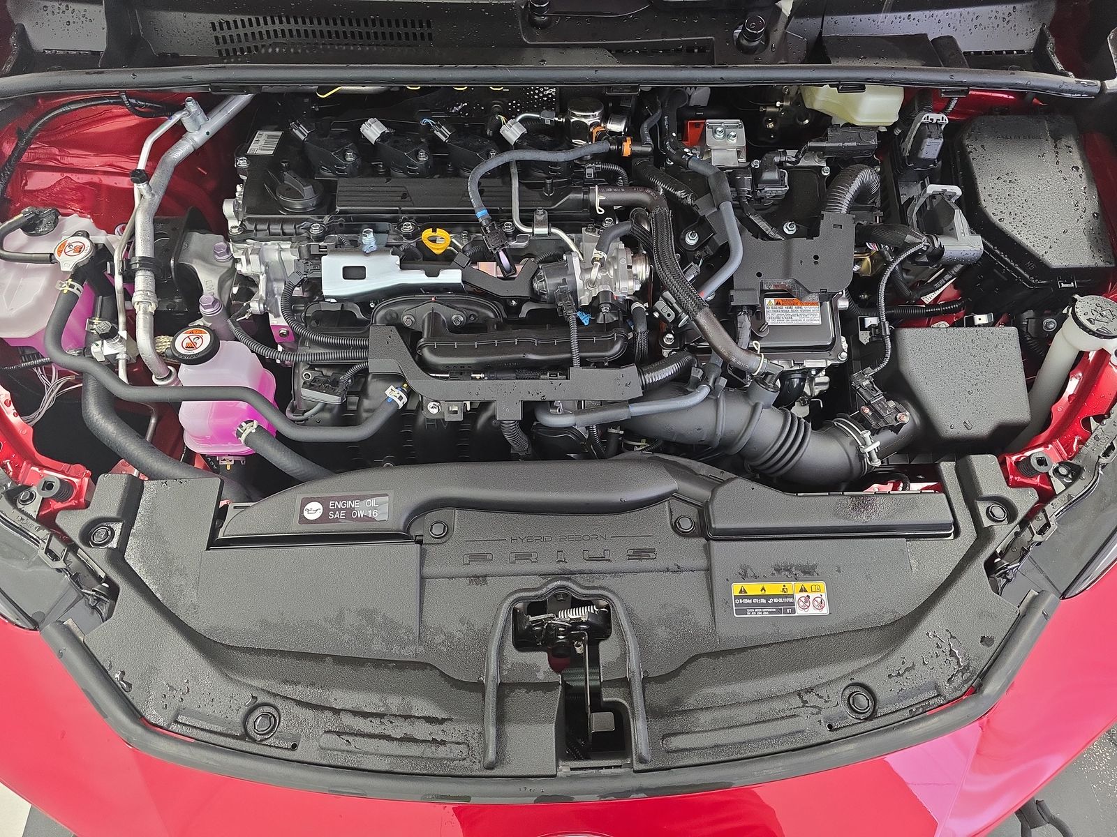 2025 Toyota Prius XLE FWD