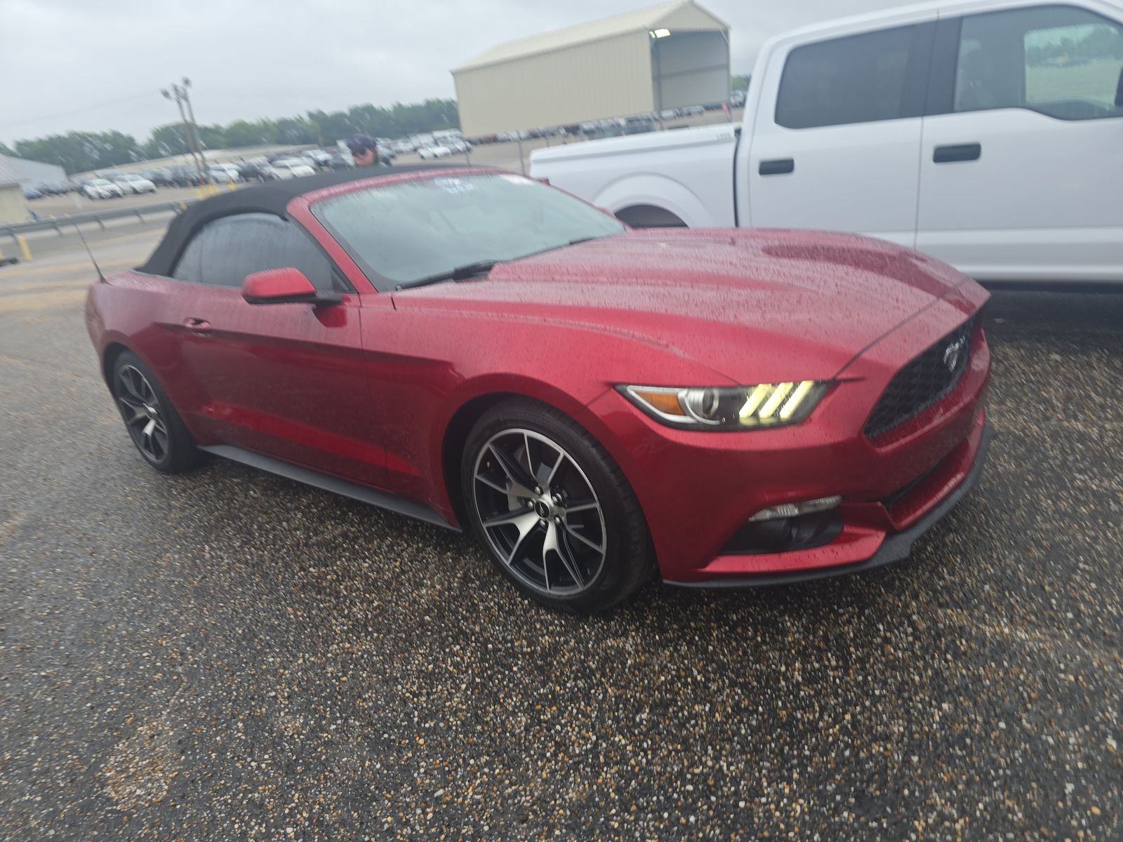 2015 Ford Mustang EcoBoost Premium RWD