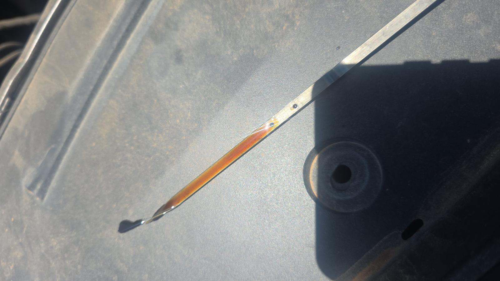 2020 Dodge Charger R/T RWD