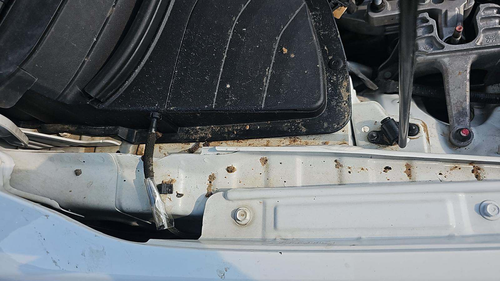 2022 Hyundai Kona SEL FWD