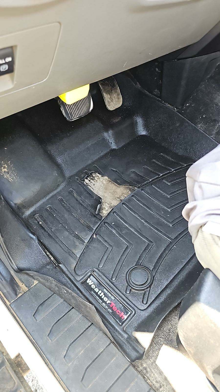 2019 Ford F-150 XLT AWD