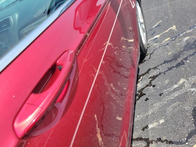 2019 Ford Fusion SE FWD