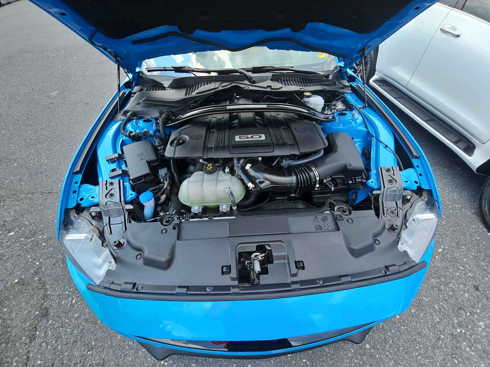 2023 Ford Mustang GT Premium RWD