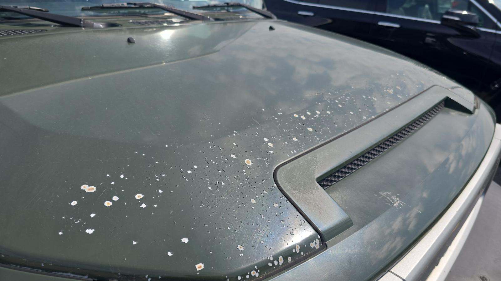 2010 Toyota FJ Cruiser Base AWD