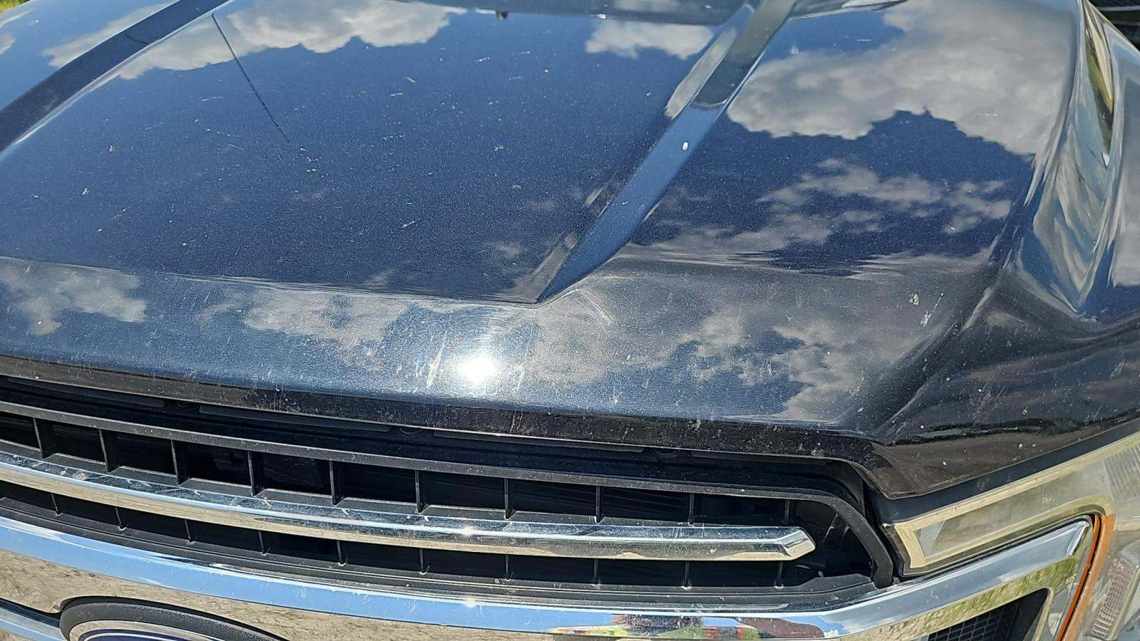 2020 Ford F-150 XLT RWD