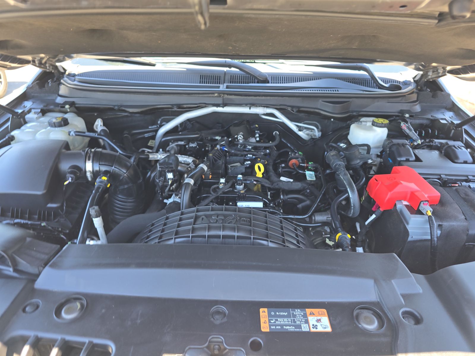 2021 Ford Ranger XLT RWD