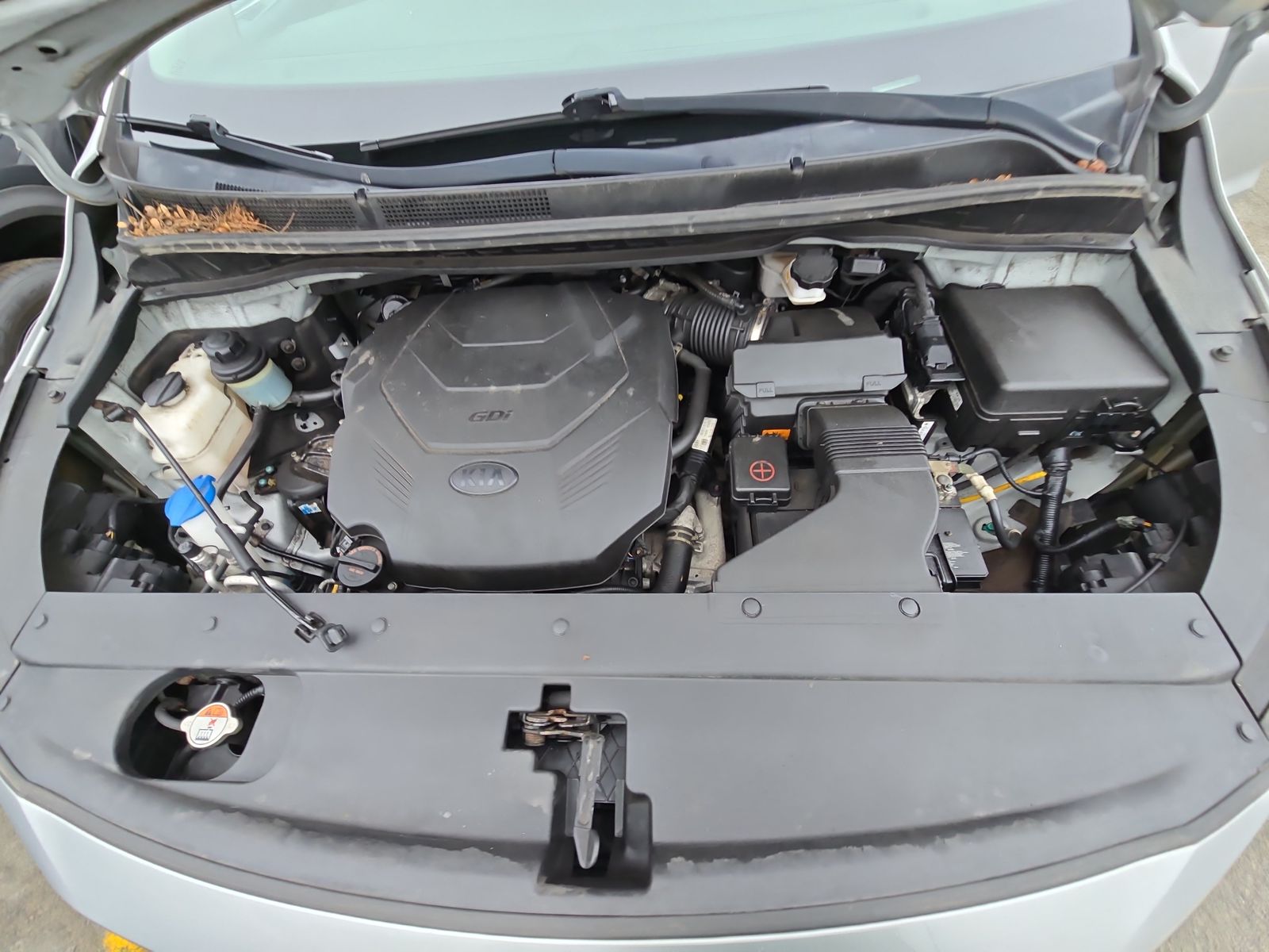 2019 Kia Sedona L FWD