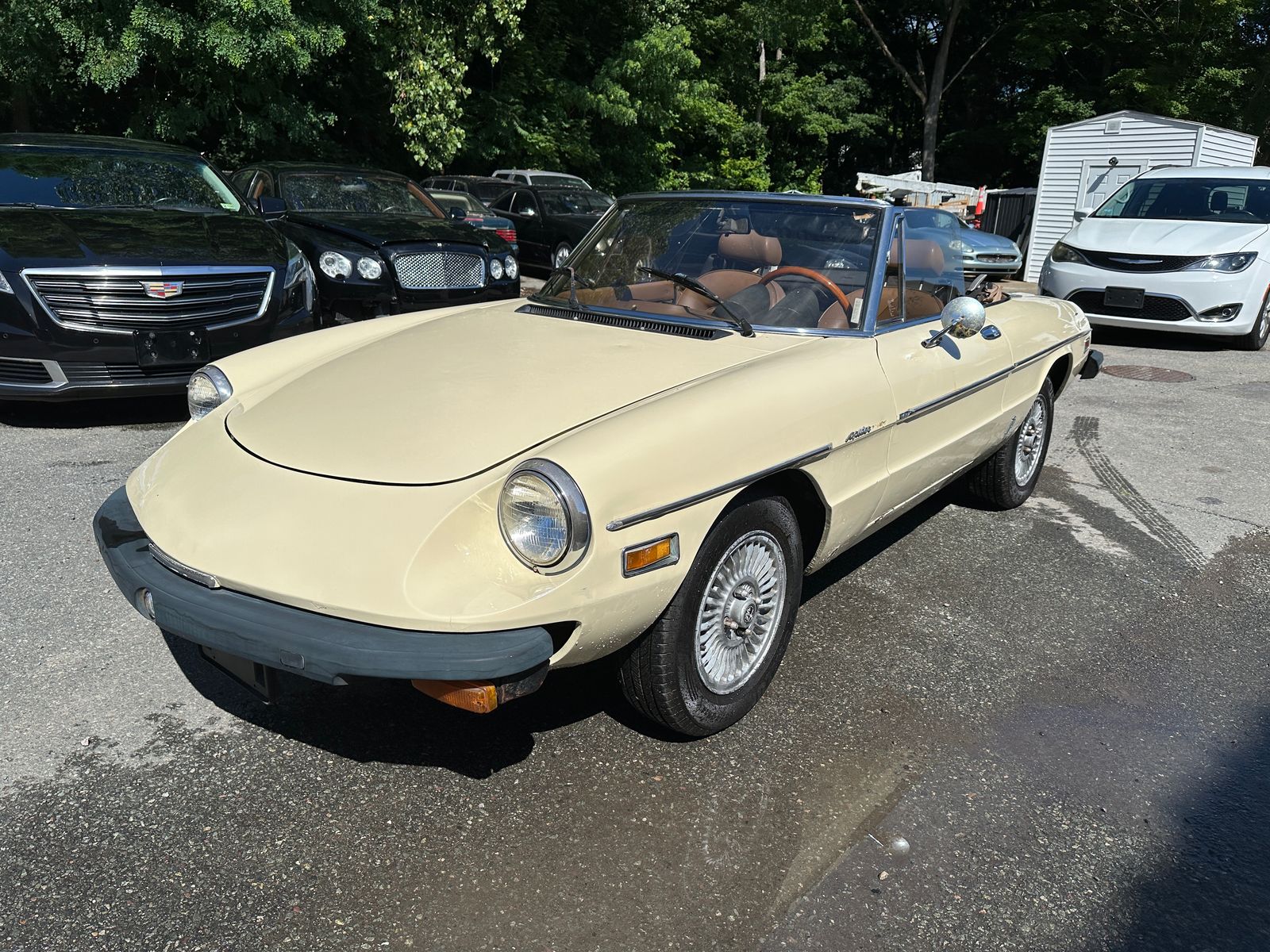 1982 Alfa Romeo Spider Veloce