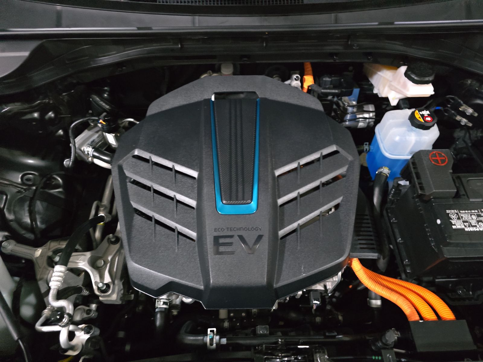 2019 Kia Niro EV EX Premium FWD