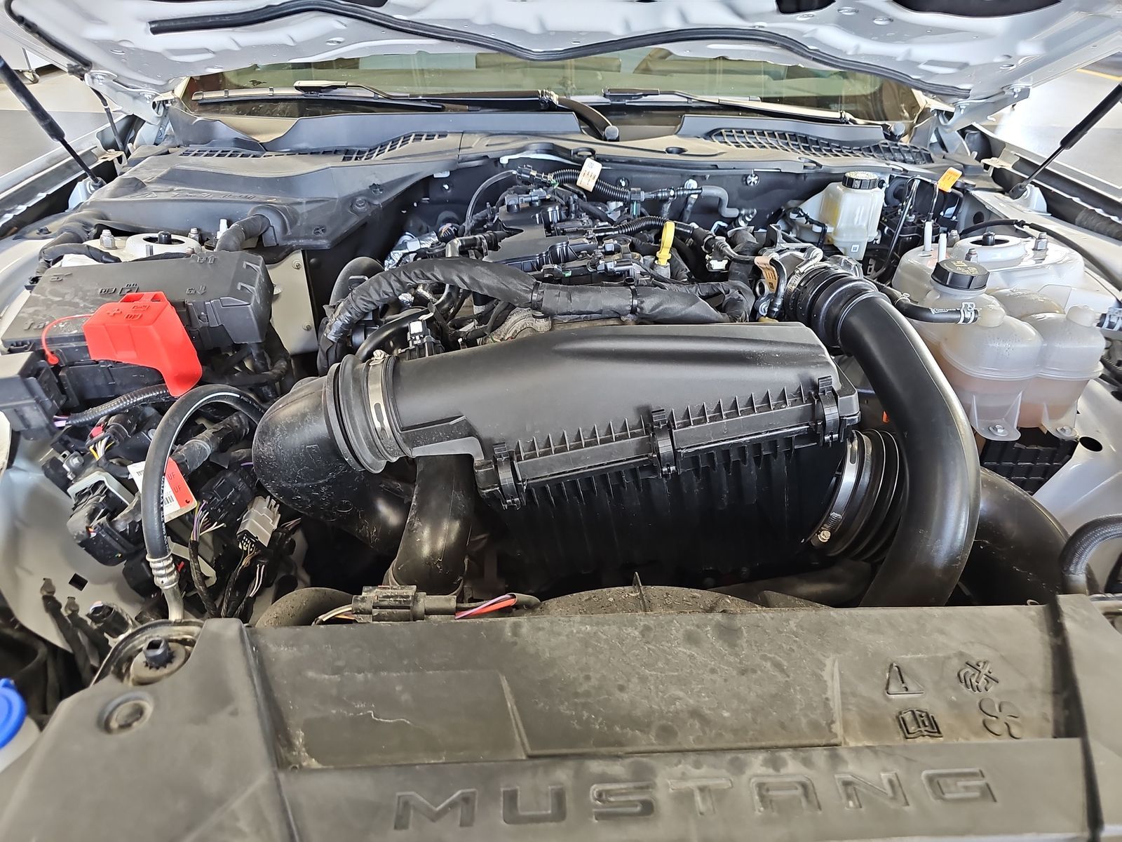 2024 Ford Mustang EcoBoost RWD
