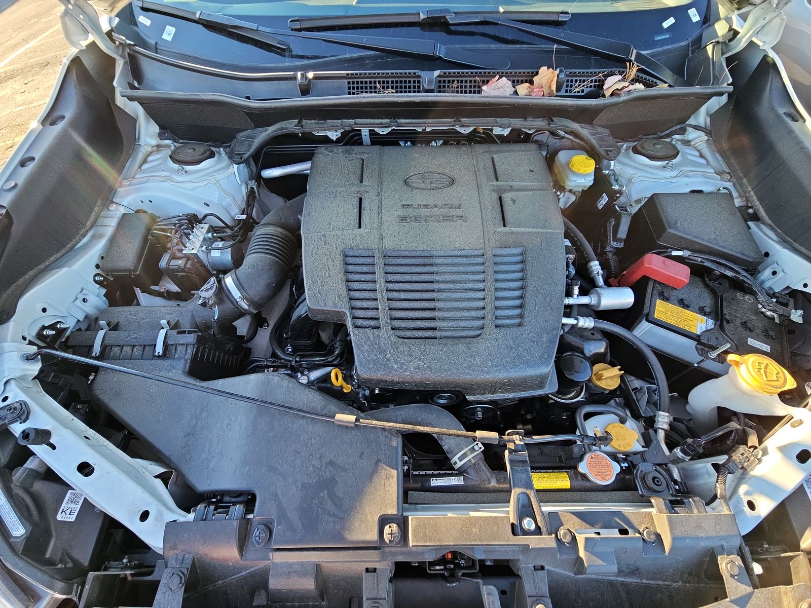 2024 Subaru Forester Wilderness AWD