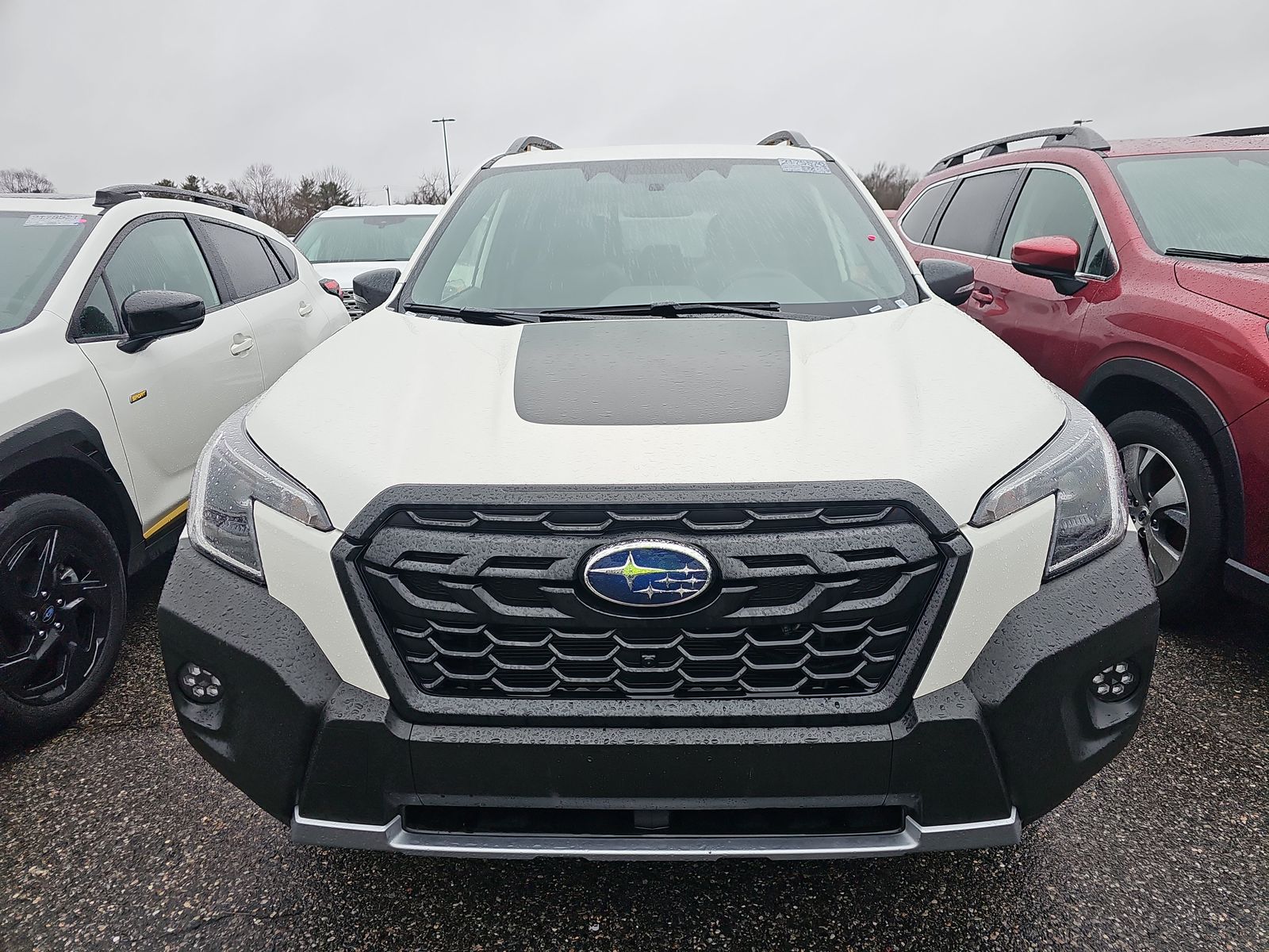 2024 Subaru Forester Wilderness AWD