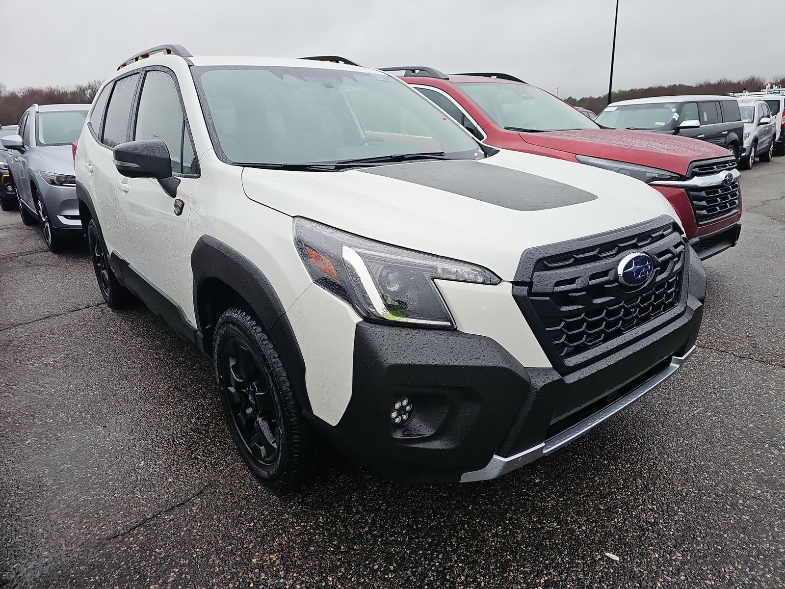 2024 Subaru Forester Wilderness AWD