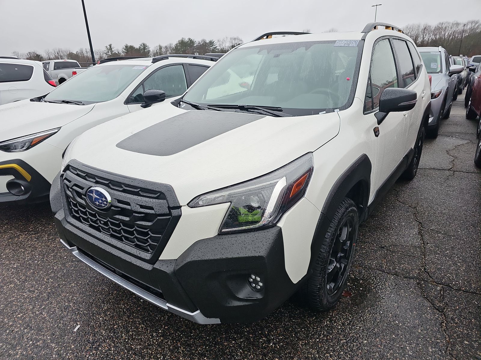 2024 Subaru Forester Wilderness AWD