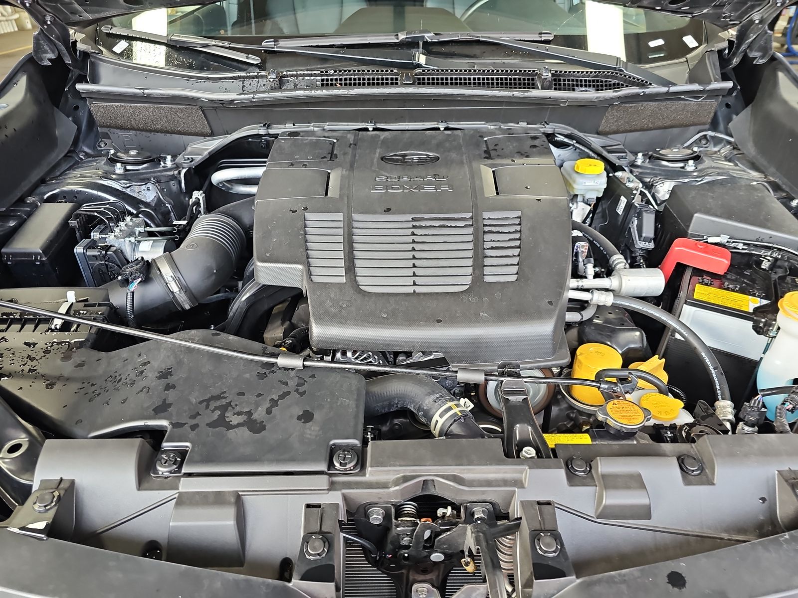 2024 Subaru Forester Wilderness AWD