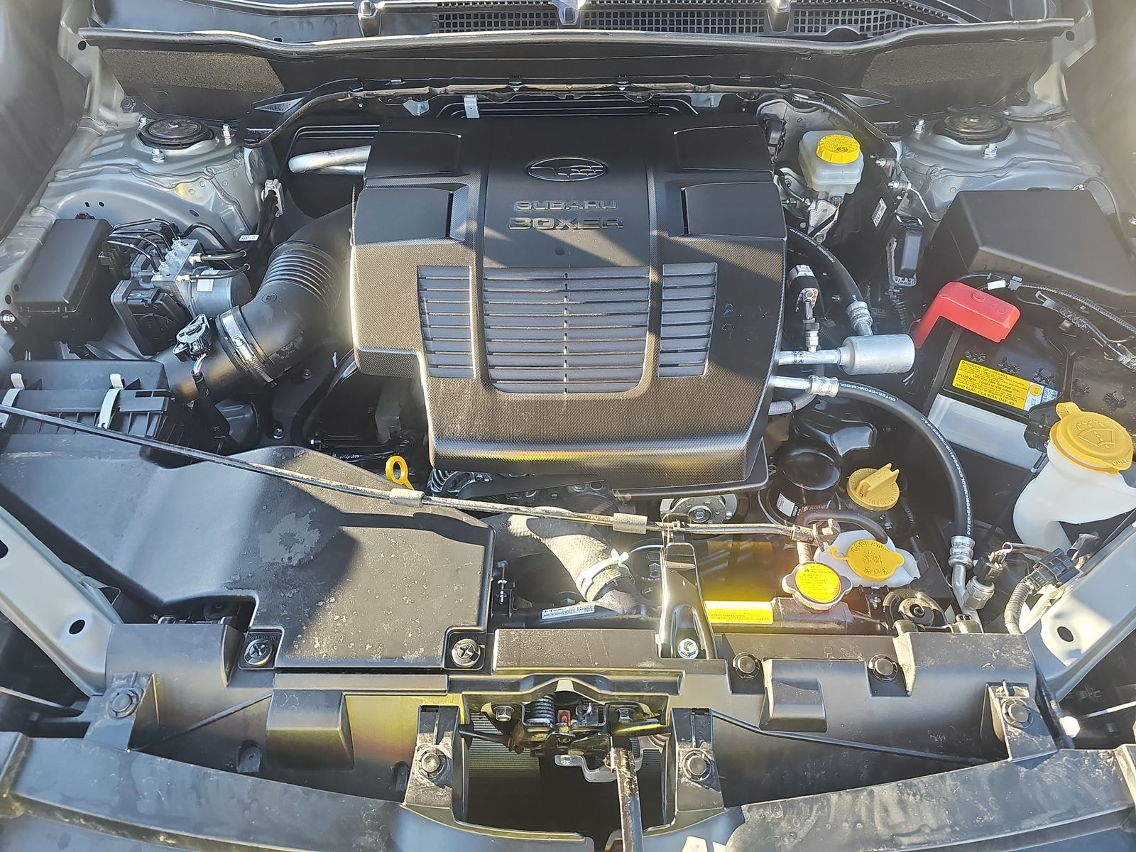 2024 Subaru Forester Wilderness AWD