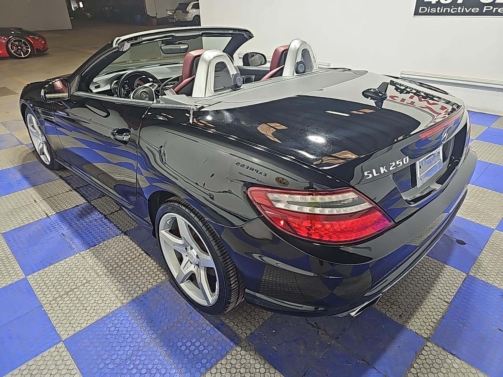 2013 Mercedes-Benz SLK SLK 250 RWD