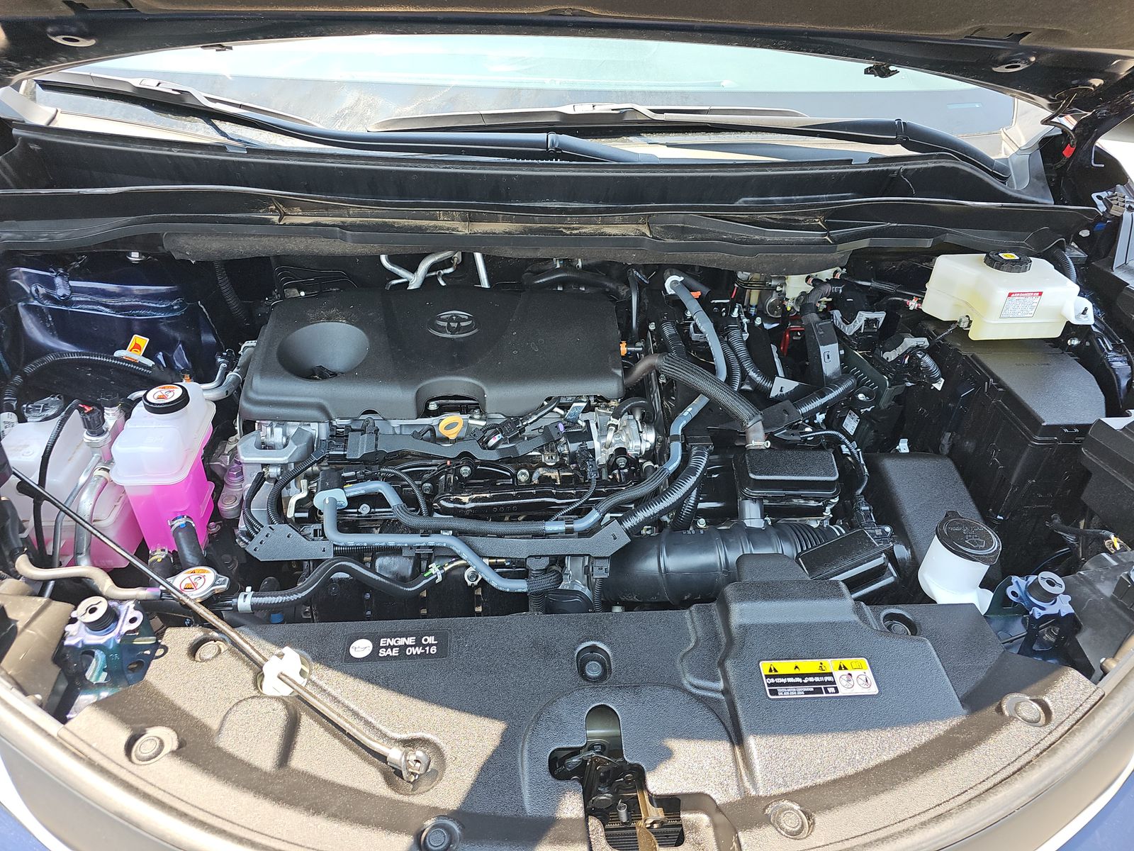 2025 Toyota Sienna XLE FWD