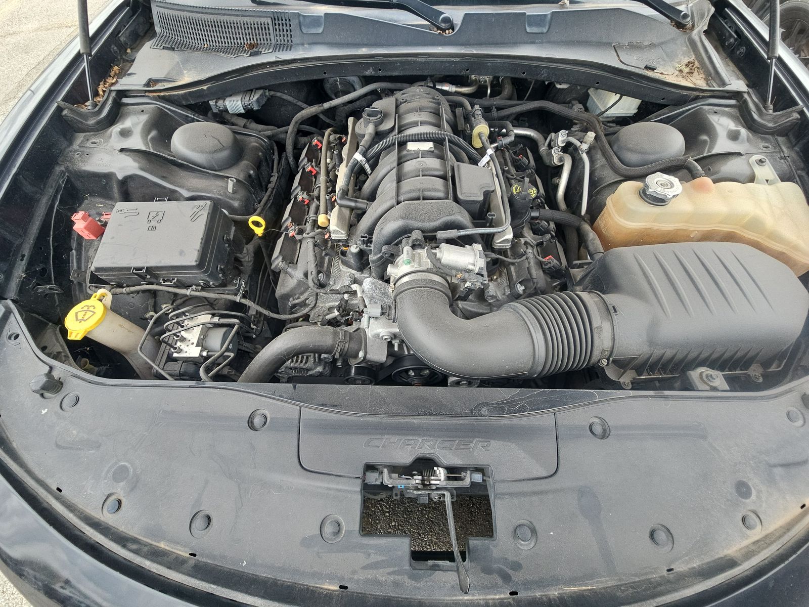 2019 Dodge Charger R/T RWD