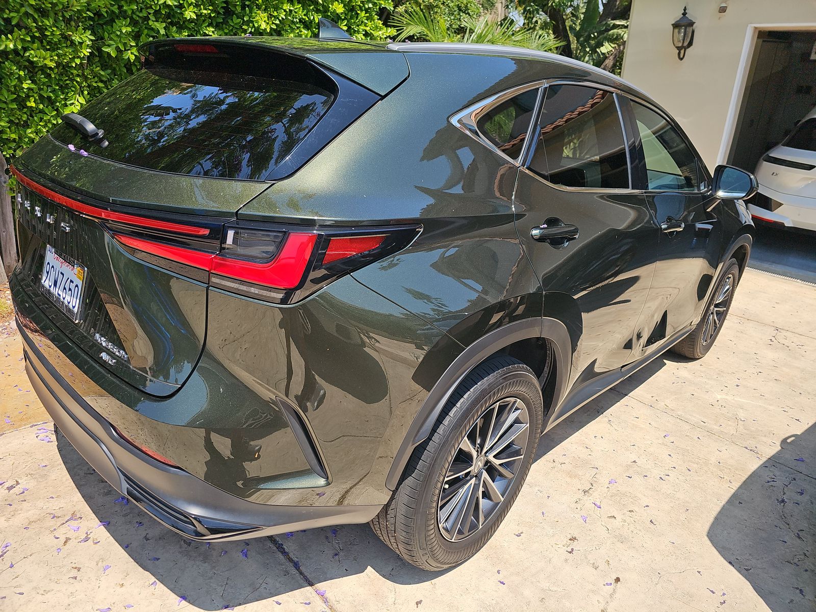 2022 Lexus NX NX 350h AWD