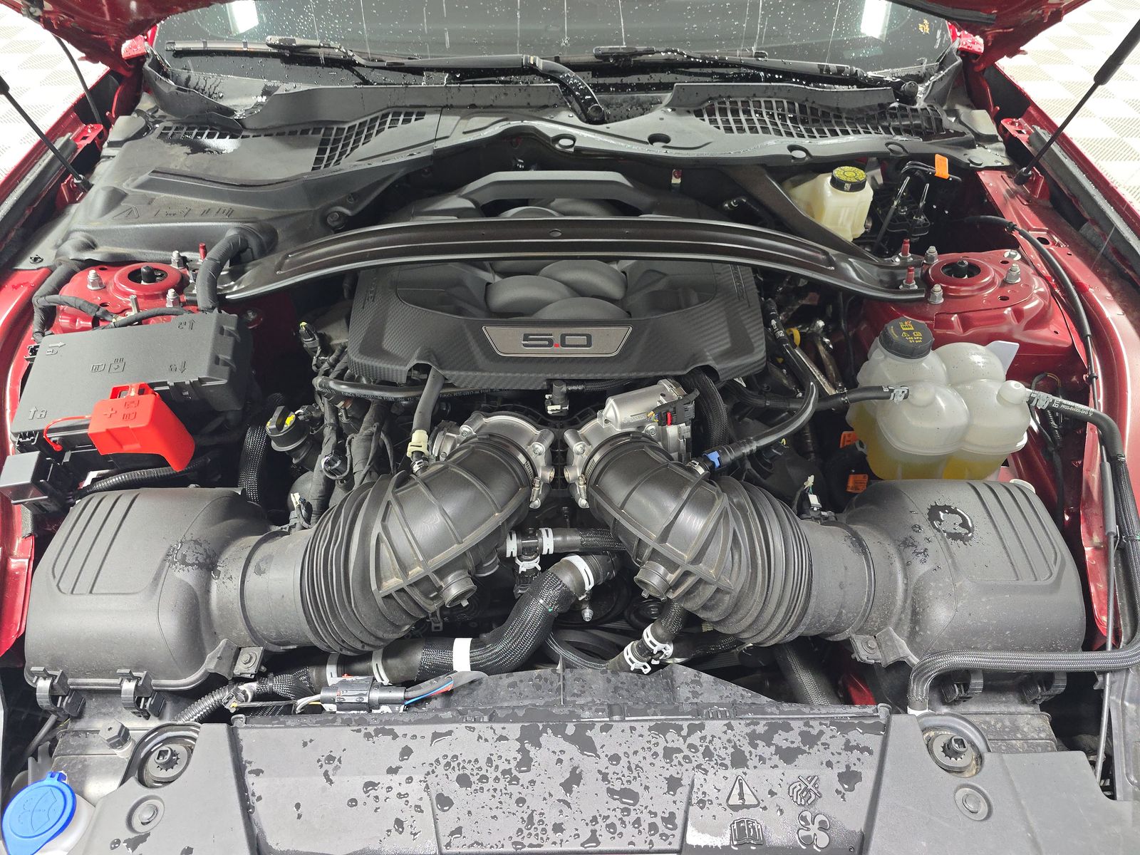 2024 Ford Mustang GT RWD
