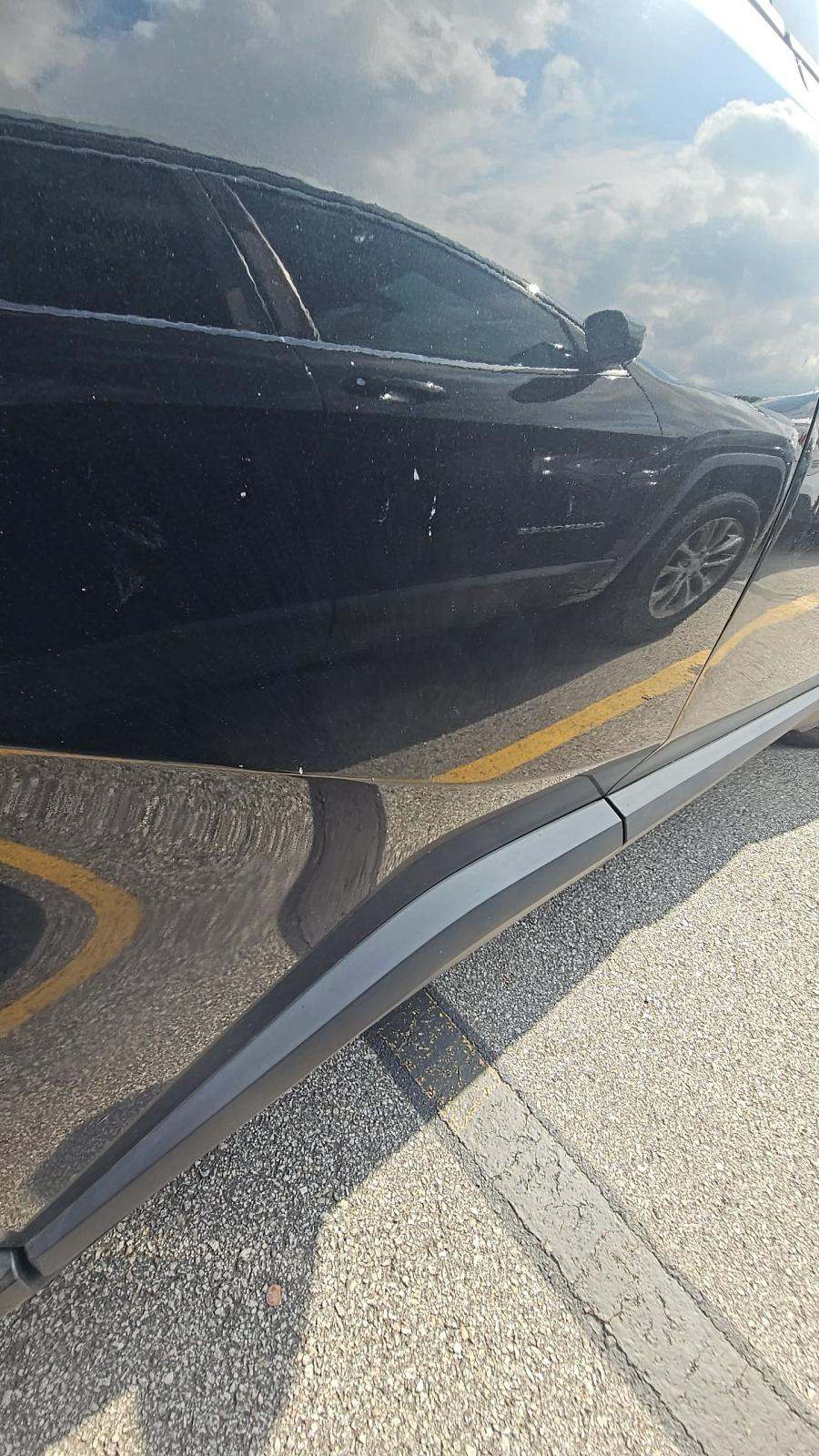 2019 Toyota C-HR XLE FWD