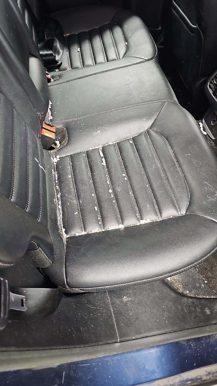 2019 Ford Fusion SEL FWD