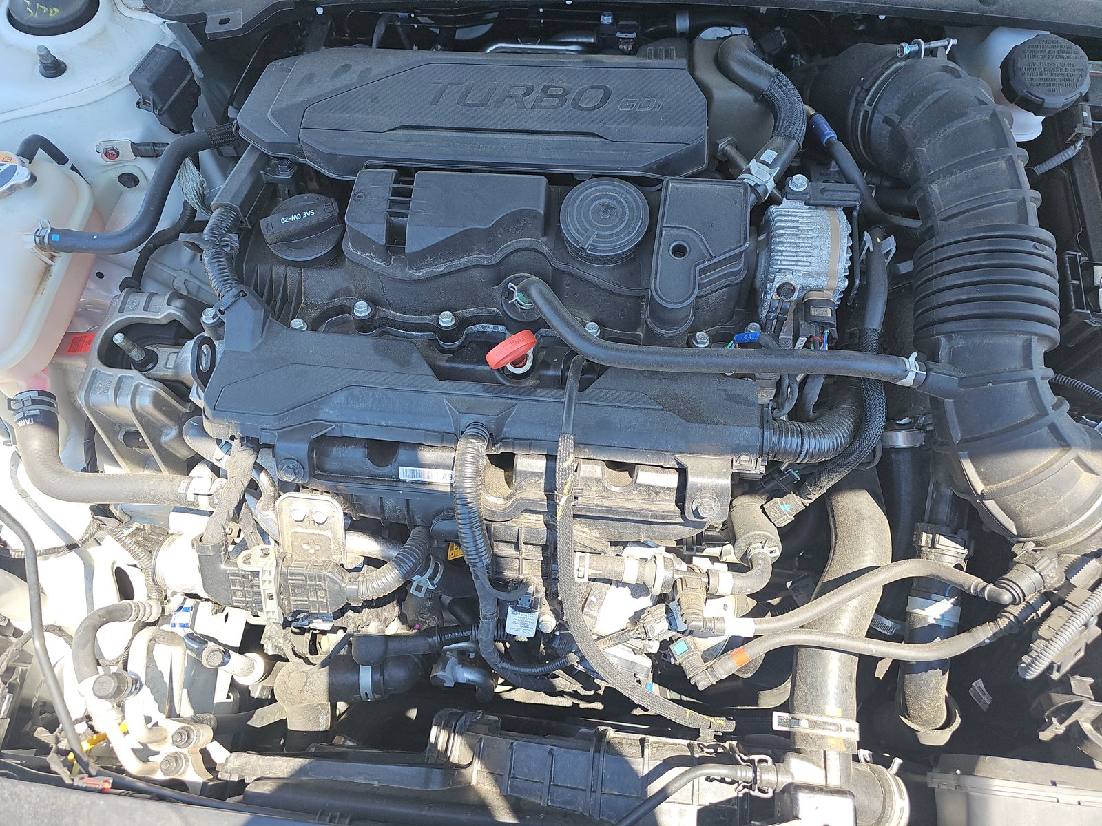 2024 Hyundai Elantra N Line FWD