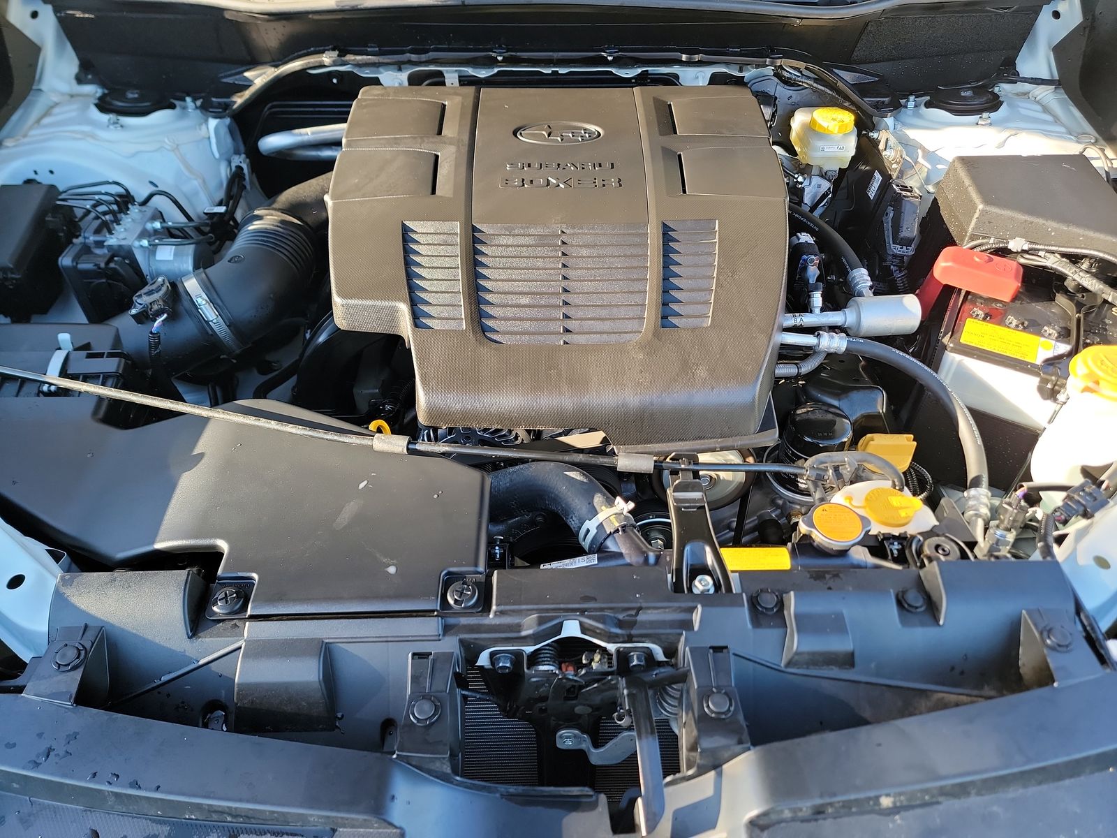 2024 Subaru Forester Wilderness AWD