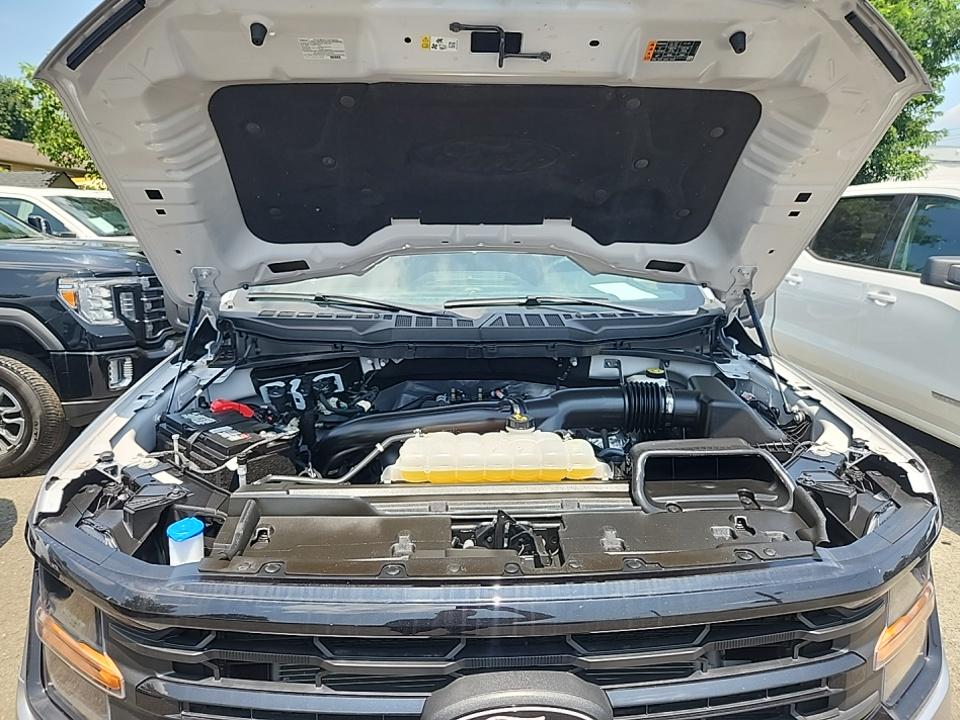 2024 Ford F-150 XLT AWD